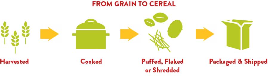 From grain to cereal